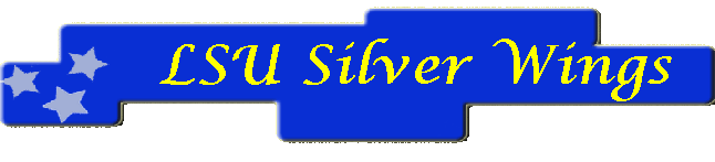 Welcome to Silver Wings!