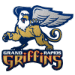 Grand Rapids Griffins