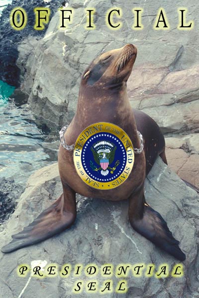 Politics and News Page