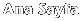 Anasayfa