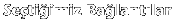 Se�ti�imiz Ba�lant�lar