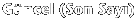 G�ncel  (Son Say�)