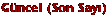 G�ncel (Son Say�)