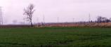 Bicker Fen