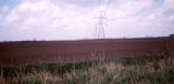 Bicker Haven