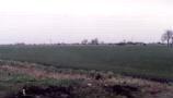 Donington Westdale