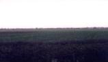 Pinchbeck South Fen
