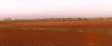 Tydd St Mary's Marsh