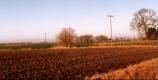 Tydd St Giles Fen