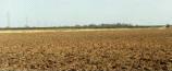Wainfleet Common