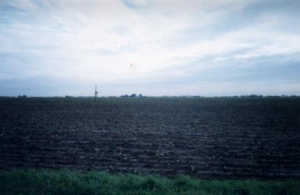 Moulton West Fen