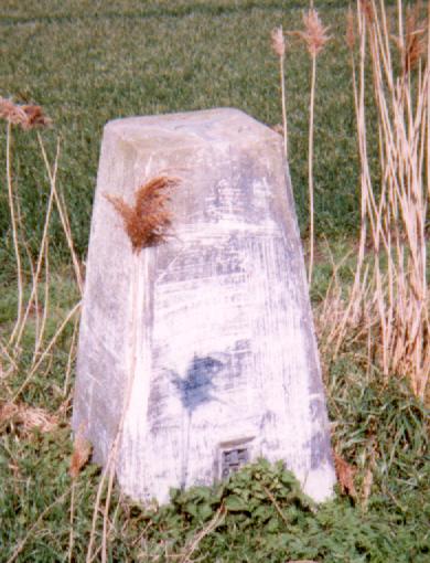 Triangulation Point