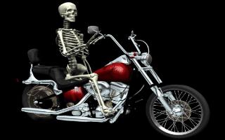 Skeleton On A Motorcycle