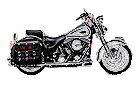 Many Different Harleys