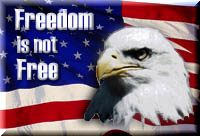 Freedom Is Not Free Eagle and Flag