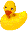 ducky