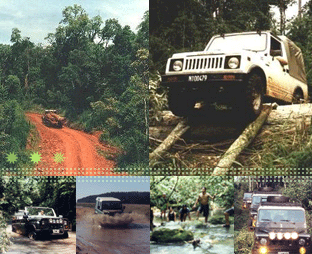 4x4 in Iguazu Forest