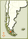 Punta Arenas, Chile of Tierra del Fuego