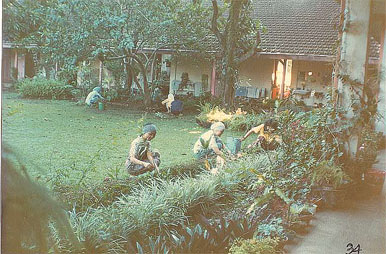 Kerja bakti kebun