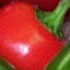 pepper