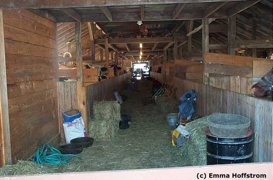 cow barn