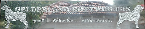 Gelderland Rottweilers Header � van Verseveld