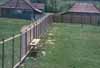 Fence for Michael's House