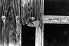 Fotograf�a bodeg�n, fotografia naturaleza, fotografia flores, fotografia experimental.
