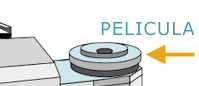 Pel&iacute;cula