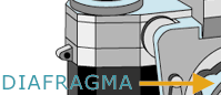 Diafragma