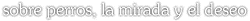 leer texto completo