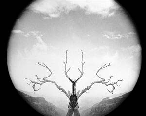 Fotograf&iacute;a de Billy Hare