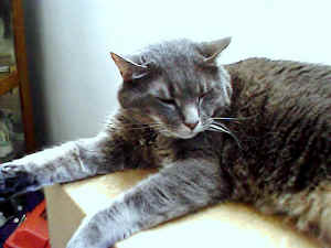 sweetheart1.jpg (58914 bytes)
