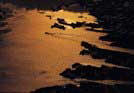 ..::Dalyan::..