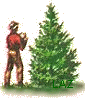 /user/woodlog.jpg