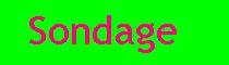 Sondageindex.jpg (2821 octets)
