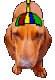 chienchapeauhelice.gif (17434 octets)