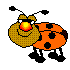 coccinelle.gif (2352 octets)
