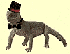 lezardchapeau.gif (4623 octets)