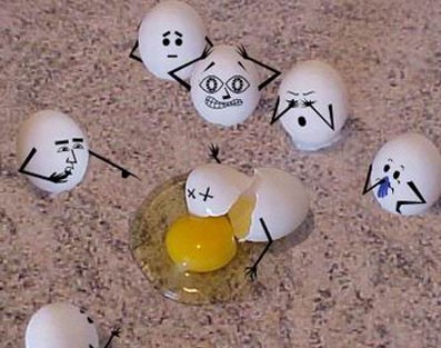 oeufs.jpg (41798 octets)