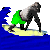 surfgorille.gif (2646 octets)