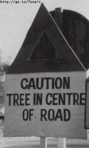 tree.jpg (24496 octets)