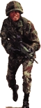 gi