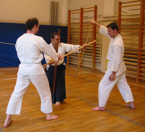 Tauro-Muso-rju 
