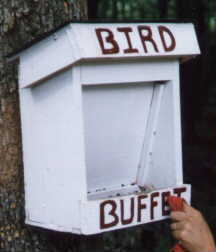 Come and get it at the Birdhouse Buffet