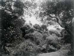Grant