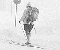 bild av skidlöpare på gatan vid Stortorget i Lund nyårsdagen den 1 januari 1979  under nyårsstormen 1979