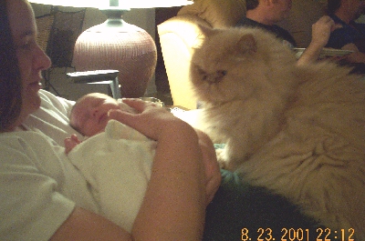 Aug 2001