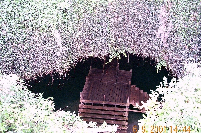 Landing in the Den