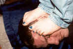 trample4.jpg (13423 bytes)